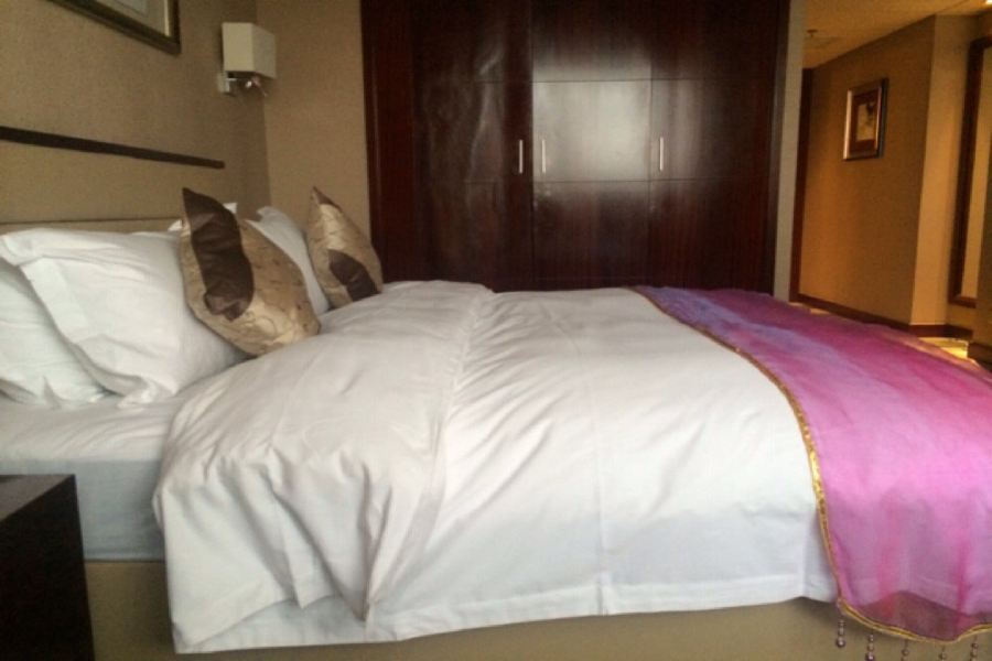 Arcadia International Hotel Cangzhou Buitenkant foto